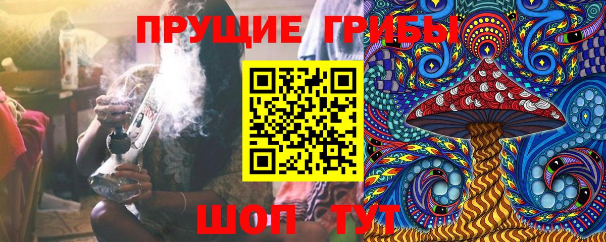 Людиново  Галлюциногенные грибы Psilocybe  Вход с VPN 